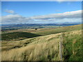 NN8401 : Fenceline on Big Hunt Hill by Alan O'Dowd