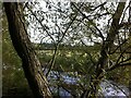 SP3170 : River Avon at Ashow Bridge by A J Paxton