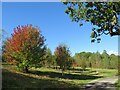 SE2853 : Autumn colour at Harlow Carr Gardens, Harrogate by Malc McDonald