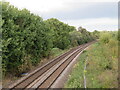 SE3156 : Railway line near Harrogate by Malc McDonald