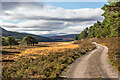 NO0589 : Track going west from the Linn of Dee by Nigel Corby