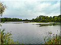 SP9468 : Nene Wetlands Nature Reserve, Delta Pit by David Dixon