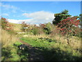 NS8842 : Path junction near Bankhead by Alan O'Dowd