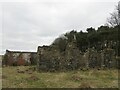 NO4502 : Ruined farm building of Siberia by Becky Williamson