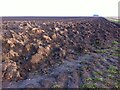 TF1722 : Ploughed Field near Willow Tree Farm by A J Paxton