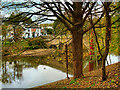 SD7605 : River Irwell at Ringley Old Bridge by David Dixon