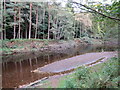 SE3158 : River Nidd near Harrogate by Malc McDonald