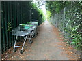 SU4318 : Supermarket trolleys on a footpath near Suffolk Drive by Christine Johnstone