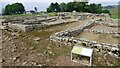 NY7666 : Roman vicus at Vindolanda by Sandy Gerrard