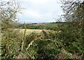 NZ0747 : Roadside view across the fields by Robert Graham