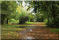 SX9268 : Overflow car park, Maidencombe by Derek Harper