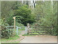 SU4120 : An entrance to Zionshill Copse by Christine Johnstone