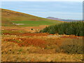 NX6263 : Autumn landscape by M J Richardson