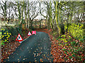 SE1810 : Road closed signs on Stone Wood Lane, Shepley by Humphrey Bolton