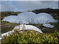 SX0454 : Eden Project - Rainforest Biome by Lauren