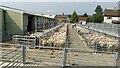 SN9668 : Cattle Market, Rhayader by David and Rachel Landin