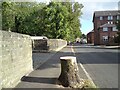 SJ9593 : Tree-stump on Knott Lane by Gerald England