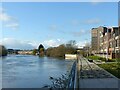 SK5938 : Riverside promenade west of Trent Lane by Alan Murray-Rust