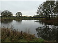 SJ9387 : Southern corner of the moat at Broadoak Farm, Torkington by Christine Johnstone