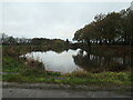 SJ9387 : South-west side of the moat at Broadoak Farm, Torkington by Christine Johnstone