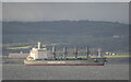 J5083 : The 'Tac Suzuka' off Bangor by Rossographer