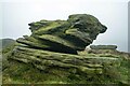 SK0787 : Gritstone rocks below Kinder Scout by Jeff Buck