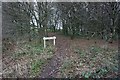 SO9689 : Public footpath at Dudley Golf Course (set of 2 images) by Ian S