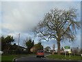 SJ5554 : Wrexham Road (A534) at Ridley by David Smith