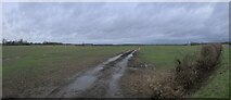  : Field near Horbling by Bob Harvey