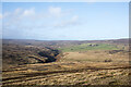 NY9942 : Hill slope descending towards Stanhope Burn by Trevor Littlewood