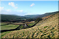 NZ0300 : Castle Farm below Fremington Edge by Andy Waddington