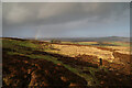 NZ0501 : Moorland above Ings Head by Andy Waddington