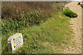 SY5386 : Coast path at West Bexington by Derek Harper