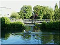 ST2224 : Sculler on the river Tone, Taunton by Stephen Craven