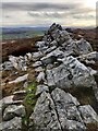 SO3698 : Rock outcrop on the Stiperstones by Mat Fascione