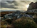 SO3698 : Manstone Rock on the Stiperstones by Mat Fascione