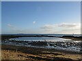 NT5099 : Coastline at East Links, Elie by Becky Williamson