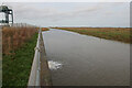 TL5798 : New Bedford River at Welmore Lake Sluice by Hugh Venables