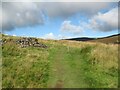 NY2829 : The Cumbria Way near Skiddaw House by Adrian Taylor