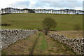 SK1868 : Public Footpath in Upper Kirk Dale, Derbyshire by Andrew Tryon