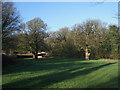 SS8579 : View towards the southern edge of Home Wood, Tythegston by eswales