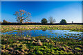 SK3514 : A puddle beside the footpath, Packington by Oliver Mills