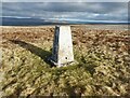 NY6409 : Triangulation pillar, Powson Knott by Adrian Taylor