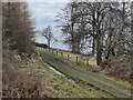 SO5987 : Track on the slopes of Brown Clee Hill by Mat Fascione