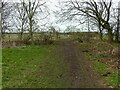 SK5933 : Pathway through Flawford Churchyard by Alan Murray-Rust