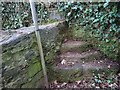 SO5707 : Stone Stile, Clearwell by Mr Red