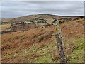 SO5884 : View towards Abdon Burf by Mat Fascione