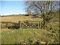 NY2433 : Gates near Little Tarn by Adrian Taylor