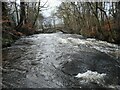 NS5475 : Staney Brig and the Allander Water by Richard Sutcliffe