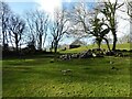 SD5073 : Sheep pasture near Hyning Scout Wood by Adrian Taylor